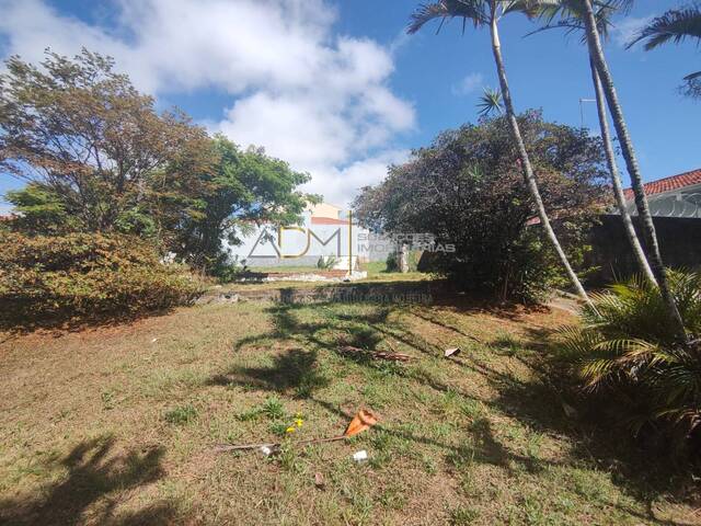 #TE0992 - Terreno para Venda em Botucatu - SP - 2