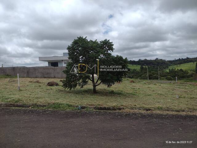 #TE01186 - Terreno para Venda em Botucatu - SP - 2