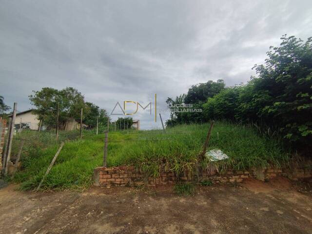 #TE01218 - Terreno para Venda em Botucatu - SP - 1