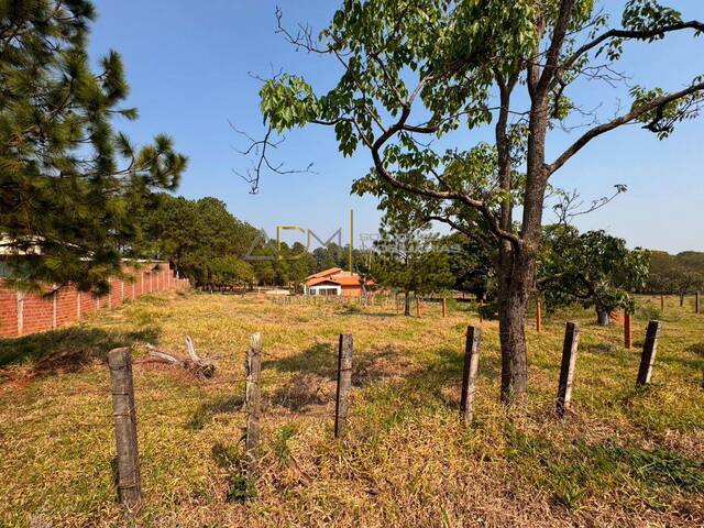 #TE01225 - Terreno para Venda em Botucatu - SP - 1