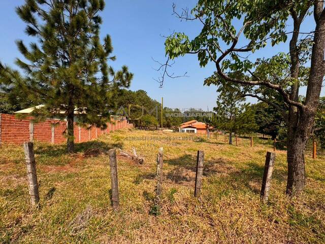 #TE01225 - Terreno para Venda em Botucatu - SP - 2