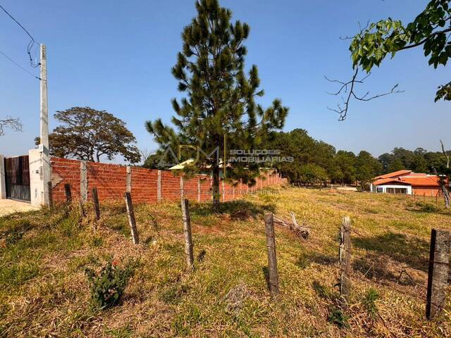 #TE01225 - Terreno para Venda em Botucatu - SP - 3
