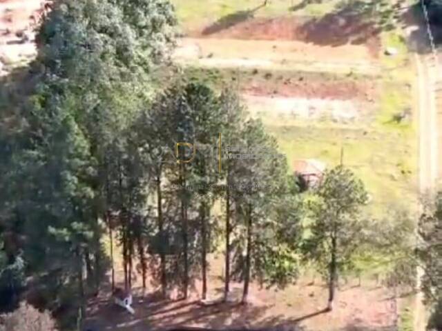 #CH01257 - Chácara para Venda em Pardinho - SP - 3