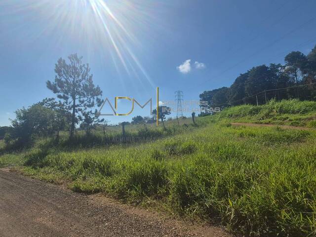 #TE01269 - Área para Venda em Botucatu - SP - 2