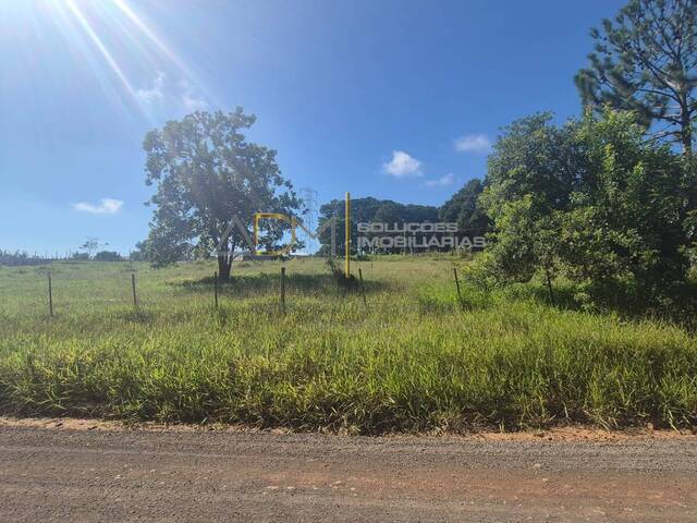 #TE01269 - Área para Venda em Botucatu - SP - 3